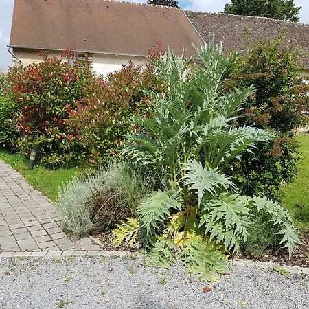 Les 7 Tilleuls - Gite Mesland Exterior photo