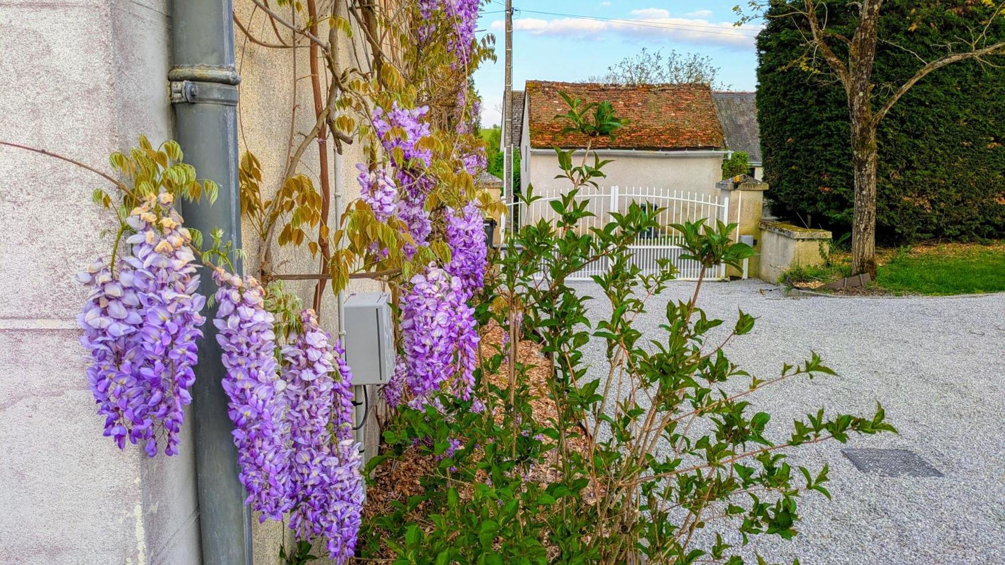 Les 7 Tilleuls - Gite Mesland Exterior photo