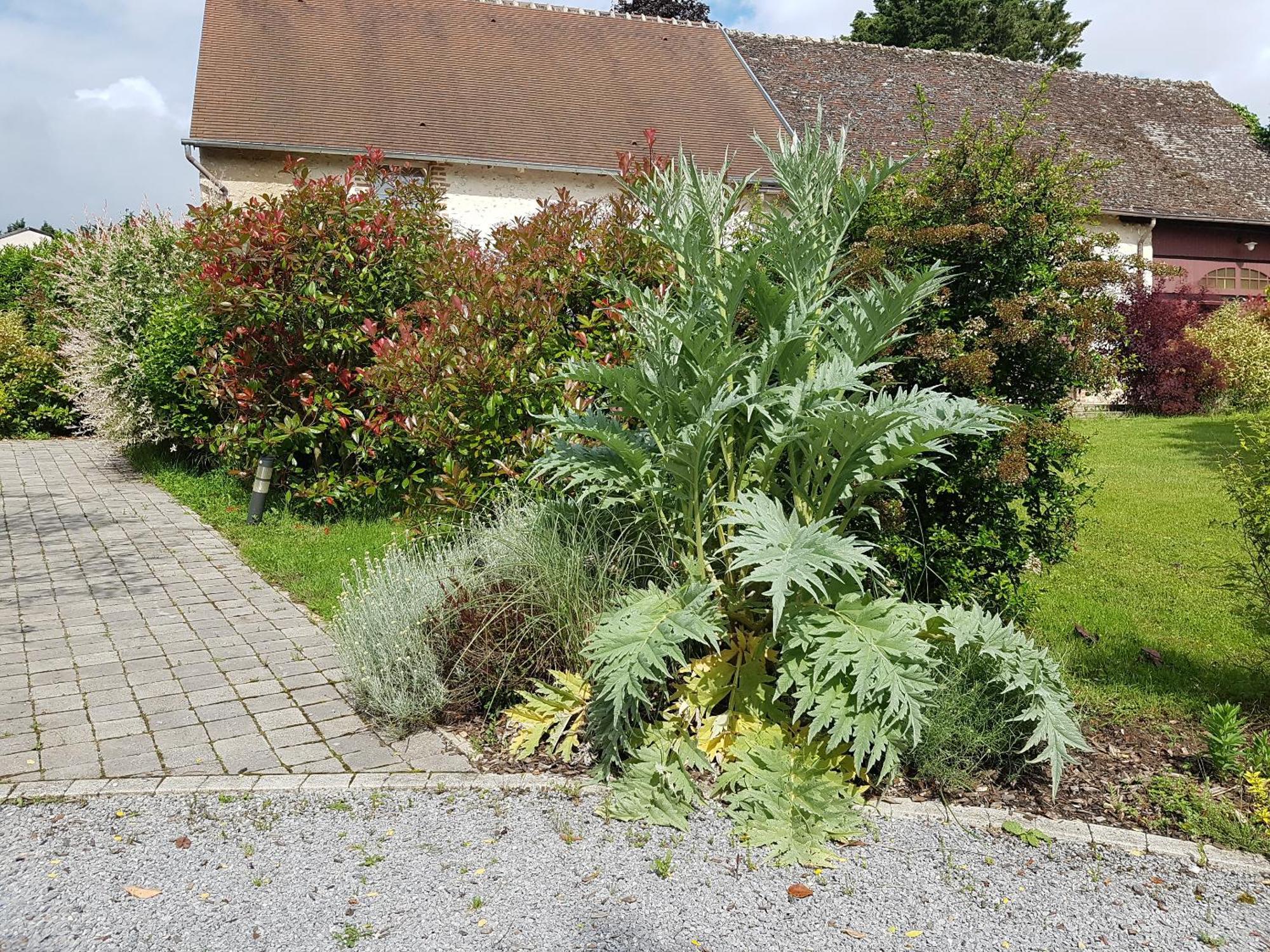 Les 7 Tilleuls - Gite Mesland Exterior photo